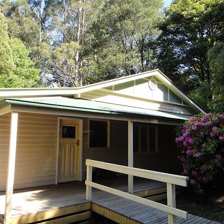 Credo Cottages Olinda Exterior photo